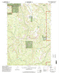 Turner Mountain Oregon Historical topographic map, 1:24000 scale, 7.5 X 7.5 Minute, Year 1995
