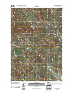 Turner Creek Oregon Historical topographic map, 1:24000 scale, 7.5 X 7.5 Minute, Year 2011