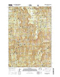 Turner Mountain Oregon Current topographic map, 1:24000 scale, 7.5 X 7.5 Minute, Year 2014