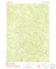 Twin Lakes Mountain Oregon Historical topographic map, 1:24000 scale, 7.5 X 7.5 Minute, Year 1989