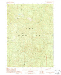 Twin Lakes Mountain Oregon Historical topographic map, 1:24000 scale, 7.5 X 7.5 Minute, Year 1989