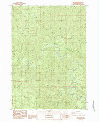 Twin Sisters Oregon Historical topographic map, 1:24000 scale, 7.5 X 7.5 Minute, Year 1984