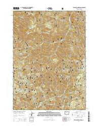 Twin Lakes Mountain Oregon Current topographic map, 1:24000 scale, 7.5 X 7.5 Minute, Year 2014