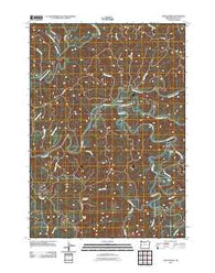 Twin Sisters Oregon Historical topographic map, 1:24000 scale, 7.5 X 7.5 Minute, Year 2011