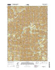 Twin Sisters Oregon Current topographic map, 1:24000 scale, 7.5 X 7.5 Minute, Year 2014