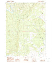 Tyee Mountain Oregon Historical topographic map, 1:24000 scale, 7.5 X 7.5 Minute, Year 1987