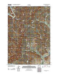 Tyee Mountain Oregon Historical topographic map, 1:24000 scale, 7.5 X 7.5 Minute, Year 2011