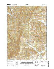 Tyee Mountain Oregon Current topographic map, 1:24000 scale, 7.5 X 7.5 Minute, Year 2014