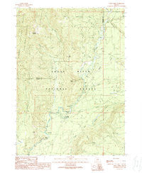 Union Creek Oregon Historical topographic map, 1:24000 scale, 7.5 X 7.5 Minute, Year 1989