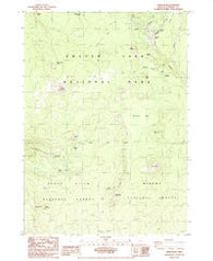 Union Peak Oregon Historical topographic map, 1:24000 scale, 7.5 X 7.5 Minute, Year 1985