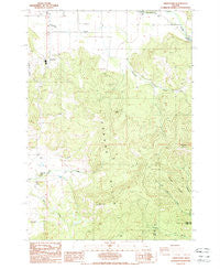 Union Point Oregon Historical topographic map, 1:24000 scale, 7.5 X 7.5 Minute, Year 1988
