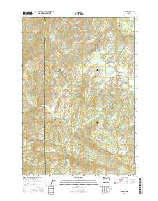 Valsetz Oregon Current topographic map, 1:24000 scale, 7.5 X 7.5 Minute, Year 2014