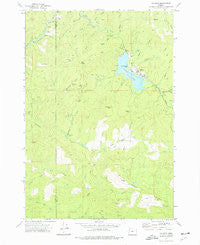 Valsetz Oregon Historical topographic map, 1:24000 scale, 7.5 X 7.5 Minute, Year 1974