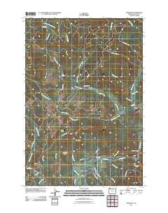 Vinemaple Oregon Historical topographic map, 1:24000 scale, 7.5 X 7.5 Minute, Year 2011