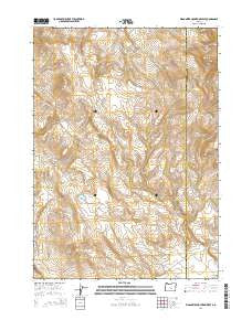Wagontire Mountain West Oregon Current topographic map, 1:24000 scale, 7.5 X 7.5 Minute, Year 2014