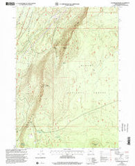 Walker Mountain Oregon Historical topographic map, 1:24000 scale, 7.5 X 7.5 Minute, Year 1999