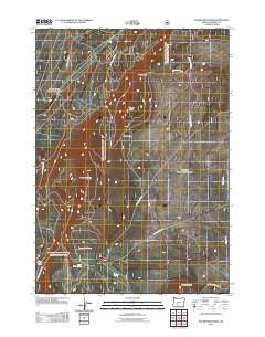 Walker Mountain Oregon Historical topographic map, 1:24000 scale, 7.5 X 7.5 Minute, Year 2011