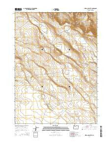 Weed Lake Butte Oregon Current topographic map, 1:24000 scale, 7.5 X 7.5 Minute, Year 2014
