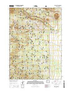 Welch Butte Oregon Current topographic map, 1:24000 scale, 7.5 X 7.5 Minute, Year 2014
