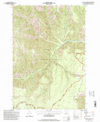 Wenaha Forks Oregon Historical topographic map, 1:24000 scale, 7.5 X 7.5 Minute, Year 1995