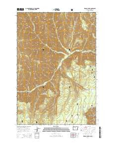 Wenaha Forks Oregon Current topographic map, 1:24000 scale, 7.5 X 7.5 Minute, Year 2014