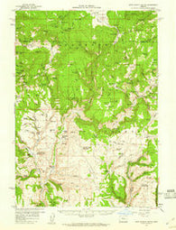 West Myrtle Butte Oregon Historical topographic map, 1:62500 scale, 15 X 15 Minute, Year 1959