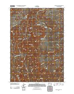 Westfall Butte Oregon Historical topographic map, 1:24000 scale, 7.5 X 7.5 Minute, Year 2011