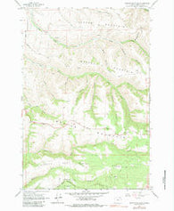 Weston Mountain Oregon Historical topographic map, 1:24000 scale, 7.5 X 7.5 Minute, Year 1964