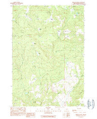 Wheeler Point Oregon Historical topographic map, 1:24000 scale, 7.5 X 7.5 Minute, Year 1990