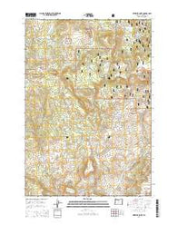 Wheeler Point Oregon Current topographic map, 1:24000 scale, 7.5 X 7.5 Minute, Year 2014