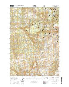 Wheeler Point Oregon Current topographic map, 1:24000 scale, 7.5 X 7.5 Minute, Year 2014