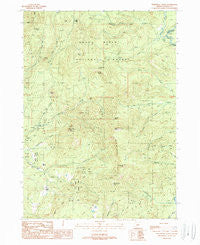 Whetstone Point Oregon Historical topographic map, 1:24000 scale, 7.5 X 7.5 Minute, Year 1989