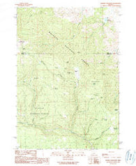 Whiskey Mountain Oregon Historical topographic map, 1:24000 scale, 7.5 X 7.5 Minute, Year 1990