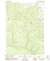 Whiskey Mountain Oregon Historical topographic map, 1:24000 scale, 7.5 X 7.5 Minute, Year 1990