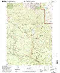 Whiskey Mountain Oregon Historical topographic map, 1:24000 scale, 7.5 X 7.5 Minute, Year 1999