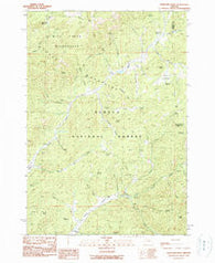 Whistler Point Oregon Historical topographic map, 1:24000 scale, 7.5 X 7.5 Minute, Year 1990