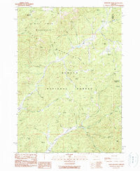 Whistler Point Oregon Historical topographic map, 1:24000 scale, 7.5 X 7.5 Minute, Year 1990