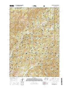 Whistler Point Oregon Current topographic map, 1:24000 scale, 7.5 X 7.5 Minute, Year 2014