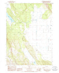 Whiteline Reservoir Oregon Historical topographic map, 1:24000 scale, 7.5 X 7.5 Minute, Year 1985