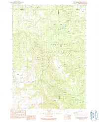 Whitetail Butte Oregon Historical topographic map, 1:24000 scale, 7.5 X 7.5 Minute, Year 1990