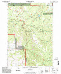 Whitetail Butte Oregon Historical topographic map, 1:24000 scale, 7.5 X 7.5 Minute, Year 1995