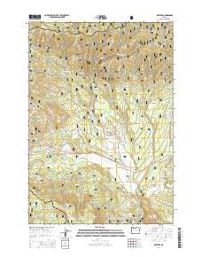 Whitney Oregon Current topographic map, 1:24000 scale, 7.5 X 7.5 Minute, Year 2014