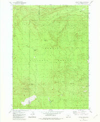 Wickiup Spring Oregon Historical topographic map, 1:24000 scale, 7.5 X 7.5 Minute, Year 1981