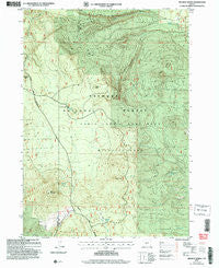 Wickiup Spring Oregon Historical topographic map, 1:24000 scale, 7.5 X 7.5 Minute, Year 2004