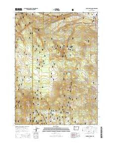 Wickiup Spring Oregon Current topographic map, 1:24000 scale, 7.5 X 7.5 Minute, Year 2014