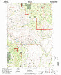 Wildcat Point Oregon Historical topographic map, 1:24000 scale, 7.5 X 7.5 Minute, Year 1995