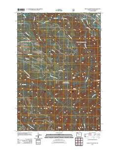 Wildcat Mountain Oregon Historical topographic map, 1:24000 scale, 7.5 X 7.5 Minute, Year 2011