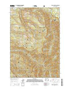 Wildcat Mountain Oregon Current topographic map, 1:24000 scale, 7.5 X 7.5 Minute, Year 2014