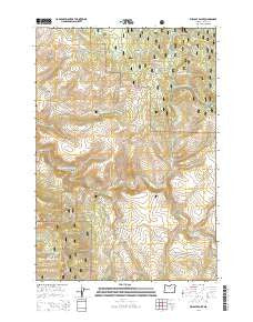 Wildcat Point Oregon Current topographic map, 1:24000 scale, 7.5 X 7.5 Minute, Year 2014
