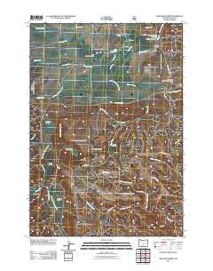 Williams Prairie Oregon Historical topographic map, 1:24000 scale, 7.5 X 7.5 Minute, Year 2011